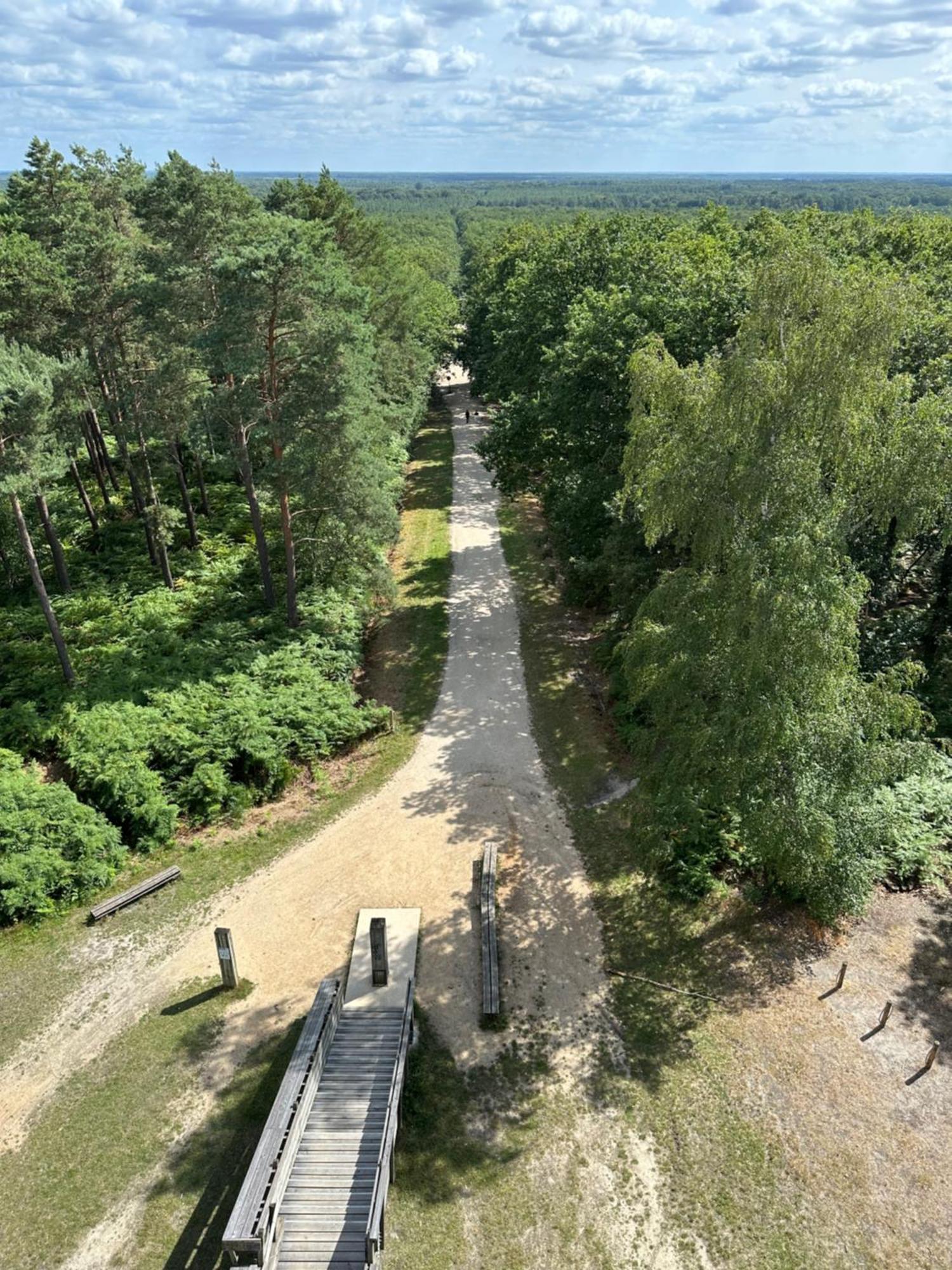 *** Domaine Des Noyers - Proche Centre Ville Châteauneuf-sur-Loire Eksteriør billede